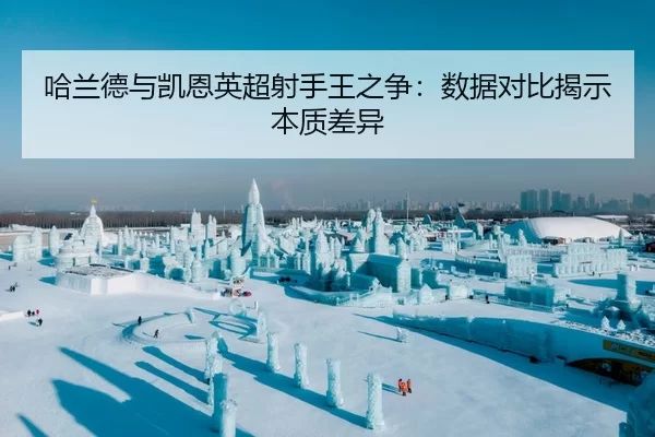 ha-lan-de-yu-kai-en-ying-chao-she-shou-wang-zhi-zheng-shu-ju-dui-bi-jie-shi-ben-zhi-cha-yi-1-274.jpg